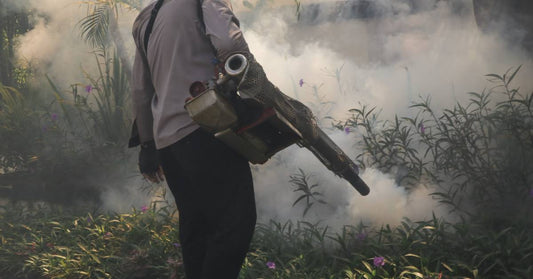 A man is standing outdoors in dense vegetation and holding a chemical fogger. There is a blanket of fog covering the plants.