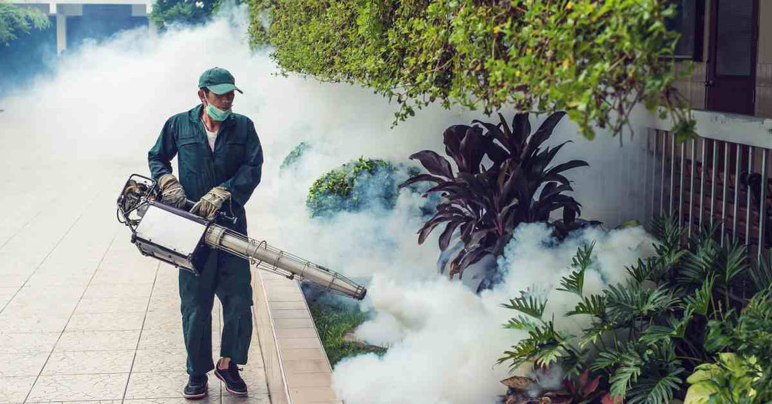 A man wearing a safety uniform and hat is fogging plants, bushes, and small trees along a path in an outdoor environment.