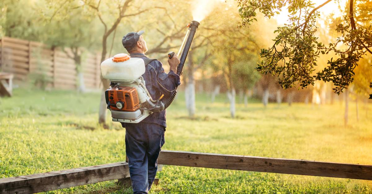 The Difference Between Mosquito Fogging and Misting