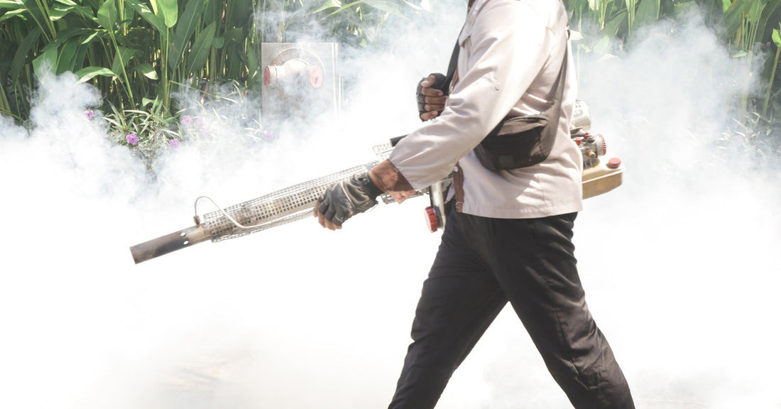 Body of a man walking carrying a large chemical fogger producing a large fog cloud outdoors over plants and bushes.