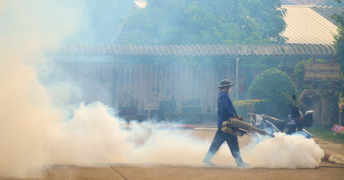 A worker using a large fogging machine outdoors. There is a big fog cloud around him, with trees and bushes in the background.