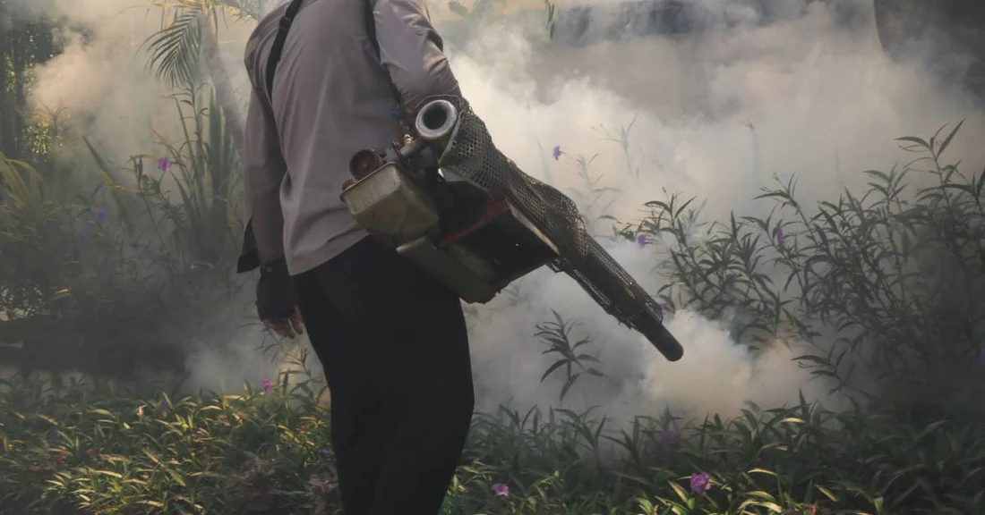 What To Know About Oil- vs. Water-Based Mosquito Fogging