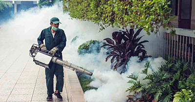Major Reasons Mosquito Fogging Is So Important