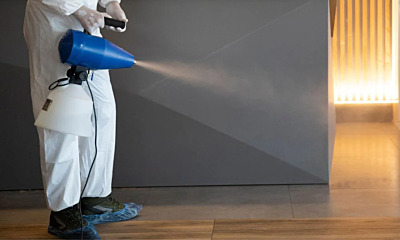 Essential Pest Control Tools Every Business Needs