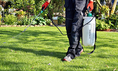 The Best Time of the Year To Start Spraying for Mosquitoes